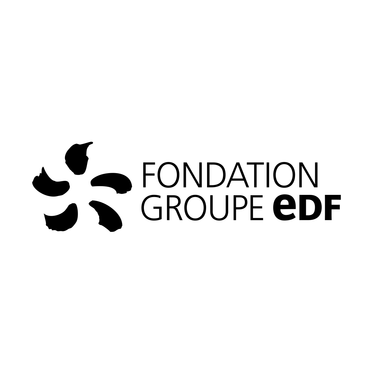 logo Fondation EDF