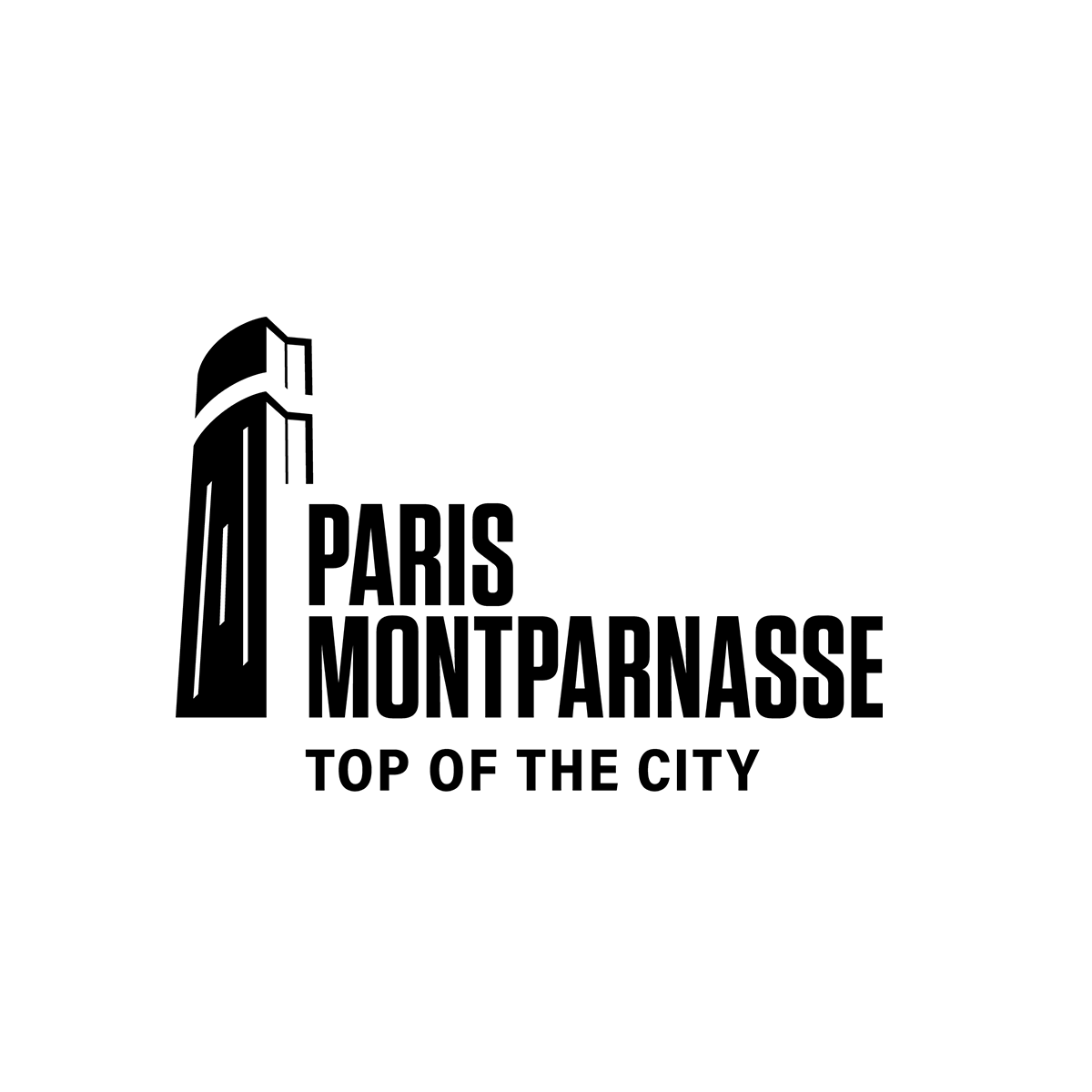 logo magnicity