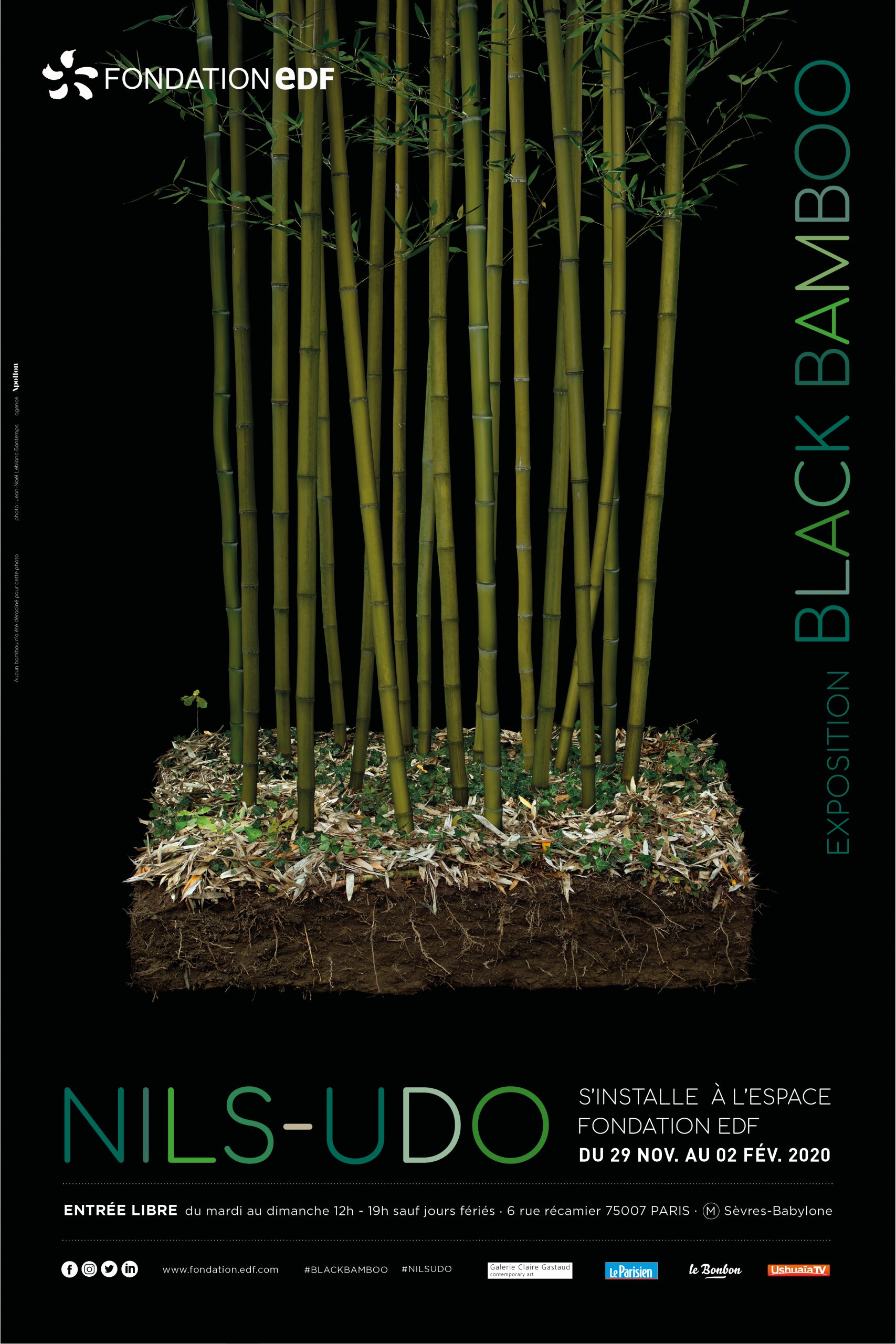 Affiche de l'exposition black bamboo de Nils-Udo
